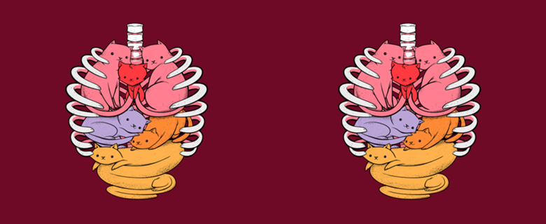 Anatomicat II