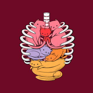 Anatomicat II
