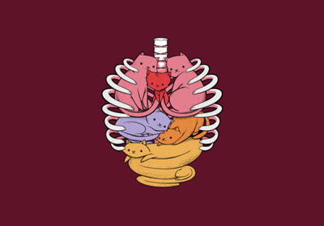 Anatomicat II