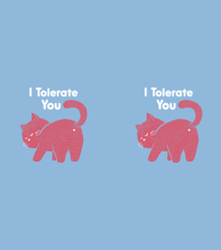 I Tolerate You