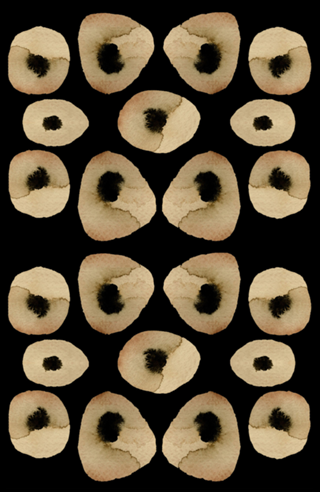 Nanquim
