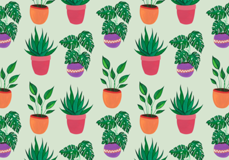 Plantinhas de casa