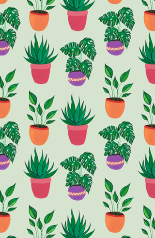 Plantinhas de casa
