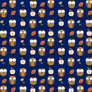 My Owl