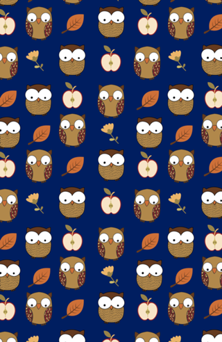 My Owl