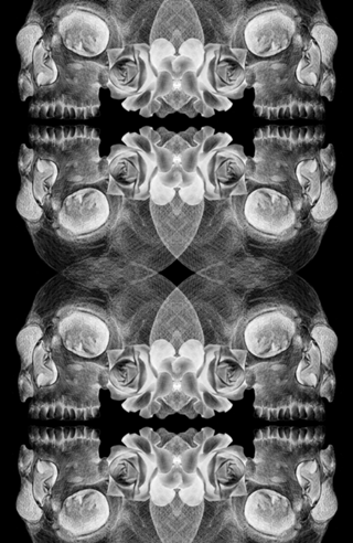Cranium flowers dark