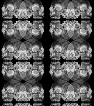 Cranium flowers dark