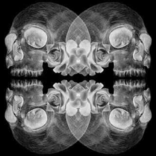 Cranium flowers dark