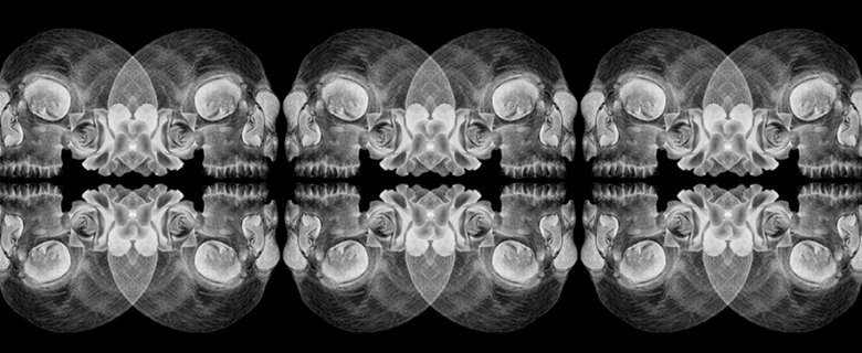 Cranium flowers dark