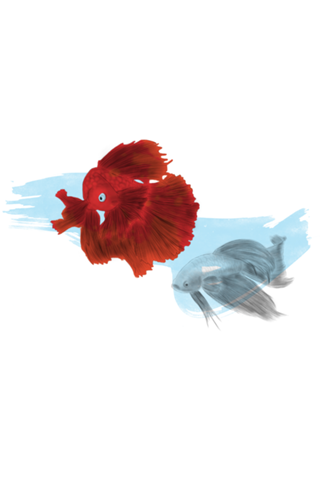 Peixes