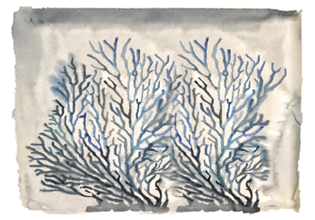 Coral