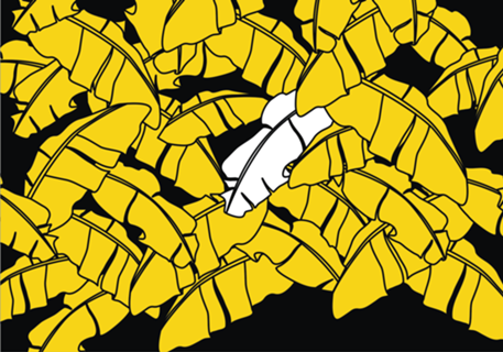 BANANEIRA OUT