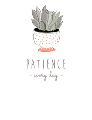 Patience Suculenta
