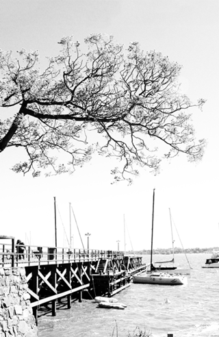 Pier