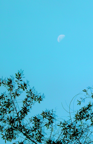 Sky blue