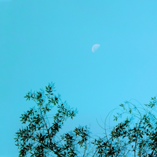 Sky blue