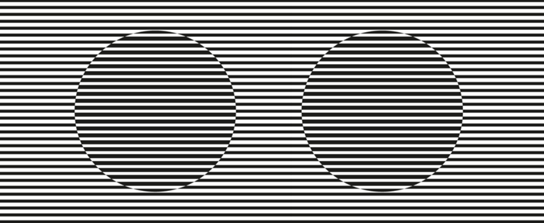 Zebra ótica