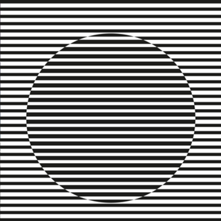 Zebra ótica