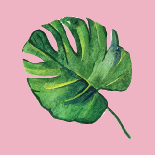 Folha tropical