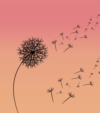 Dandelion in the wind - Dente de leão ao vento