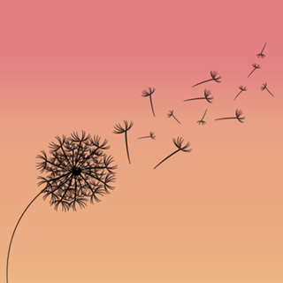 Dandelion in the wind - Dente de leão ao vento