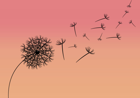 Dandelion in the wind - Dente de leão ao vento