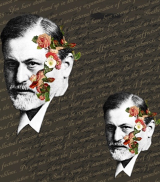 A face de Freud