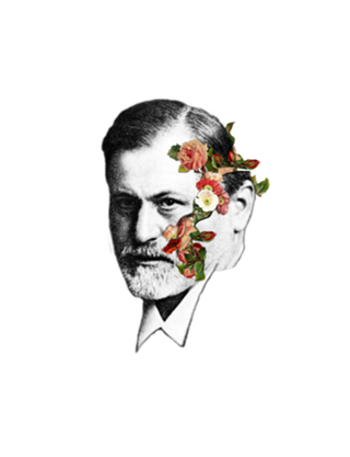 A face de Freud