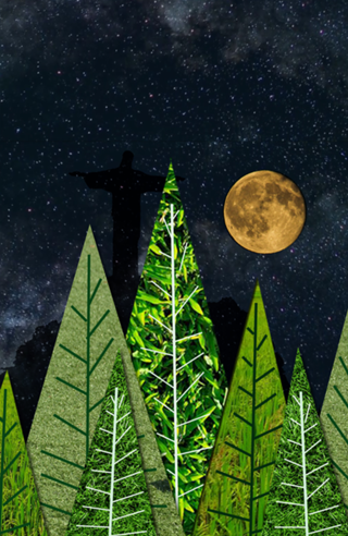 Floresta da Tijuca