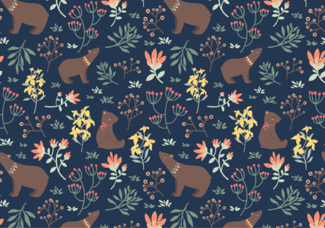 Little Bears
