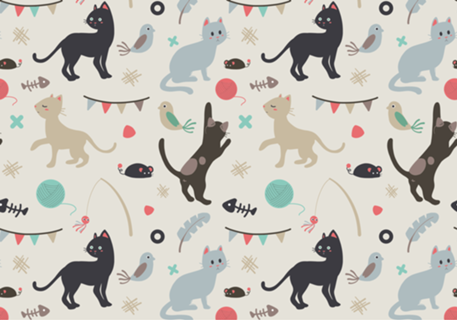 Hi Cats!