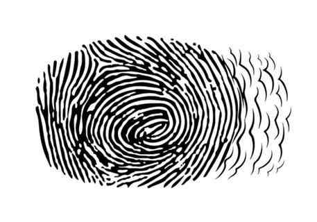Voo Digital