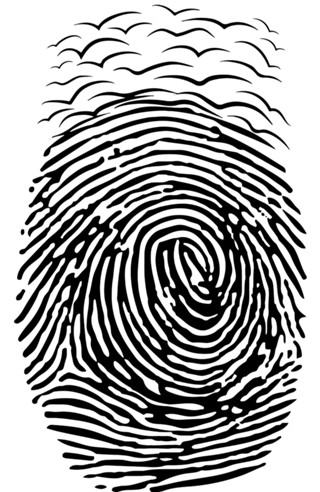 Voo Digital