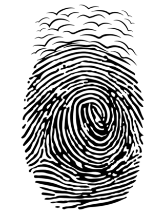 Voo Digital