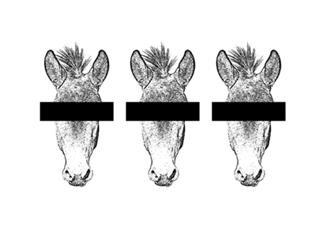 Mula Oculta