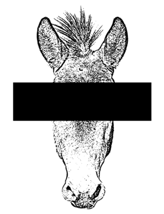 Mula Oculta