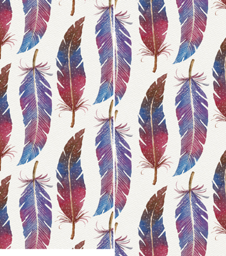 Feathers