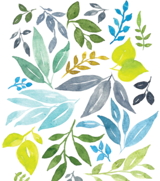 Folhas de Primavera
