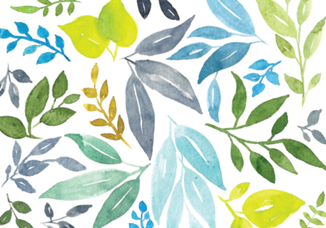 Folhas de Primavera