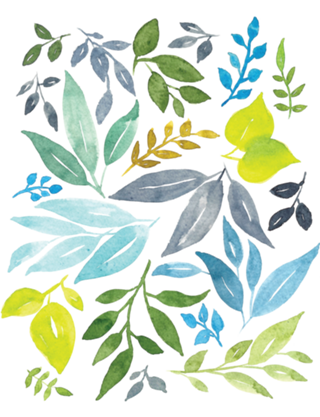Folhas de Primavera