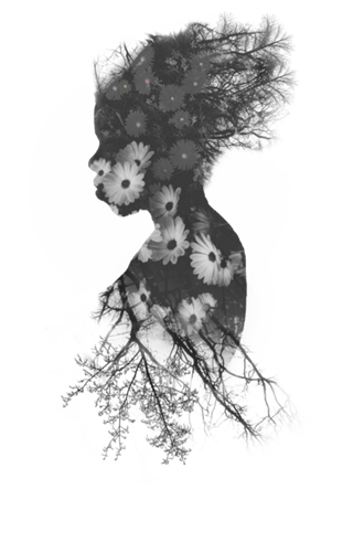 Mistérios de Africa