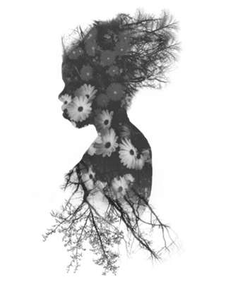 Mistérios de Africa