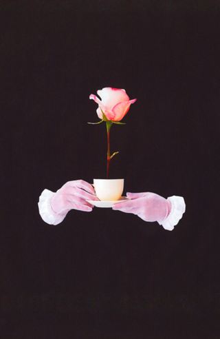 Coffee Flowers