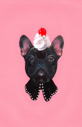 Dog Ice Cream