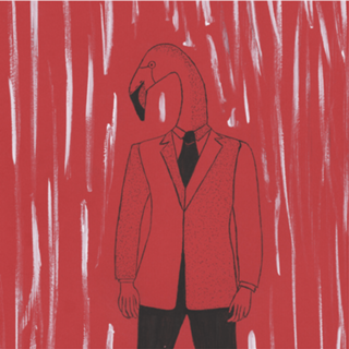 Anomalia- Homem Flamingo