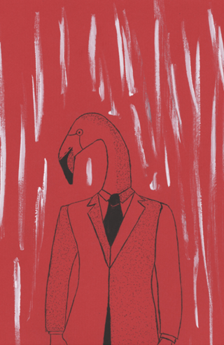 Anomalia- Homem Flamingo