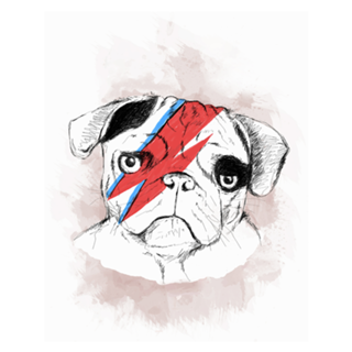 Bowie Dog