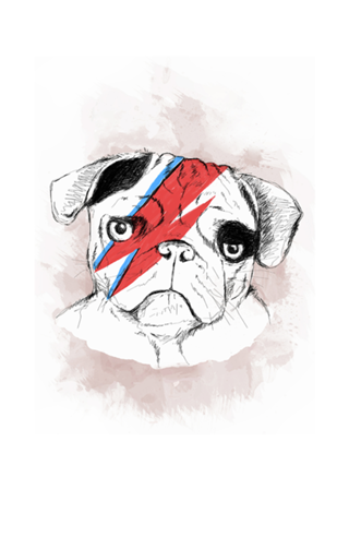 Bowie Dog