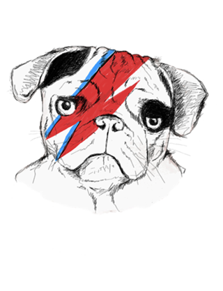 Bowie Dog