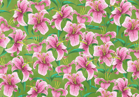 Tiger Lily